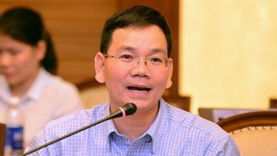 TS Huỳnh Thế Du: ‘Về mặt kinh tế, made in Vietnam có khi lợi bất cập hại’