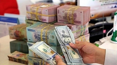 Chính sách nới lỏng tiền tệ của Việt Nam có thực sự hiệu quả?