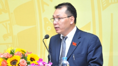 Thứ trưởng Đặng Hoàng An: Việt Nam đã đạt được những kết quả phi thường về thương mại