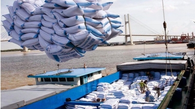 Việt Nam dừng xuất khẩu gạo vì Covid-19