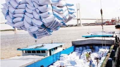 Thủ tướng đồng ý cho xuất khẩu 400.000 tấn gạo trong tháng 4