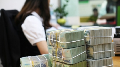 VEPR: Việt Nam không thể nới lỏng tiền tệ quy mô lớn như các nước