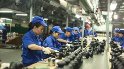 ADB: Tỷ lệ thanh niên Việt Nam thất nghiệp năm 2020 có thể lên tới 13,2%