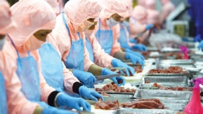 Campuchia hủy lệnh cấm nhập khẩu 4 loại cá da trơn đối với Việt Nam
