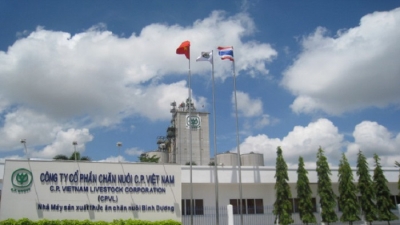 'Ông lớn' ngành chăn nuôi C.P Việt Nam bị truy thu thuế 138 tỷ đồng