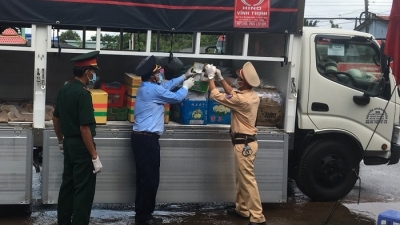 Tiền Giang: Phát hiện thuốc lá lậu được ngụy trang với hàng nông sản vận chuyển trên xe 'luồng xanh'
