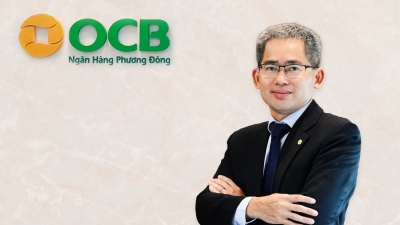 Ông Phạm Hồng Hải làm CEO Ngân hàng Phương Đông