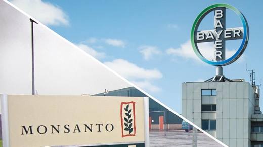 Bayer - Monsanto hoàn tất thương vụ sáp nhập lịch sử