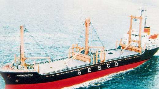 Tổng công ty Hàng hải muốn thoái hết vốn tại Vận tải biển Hải Âu