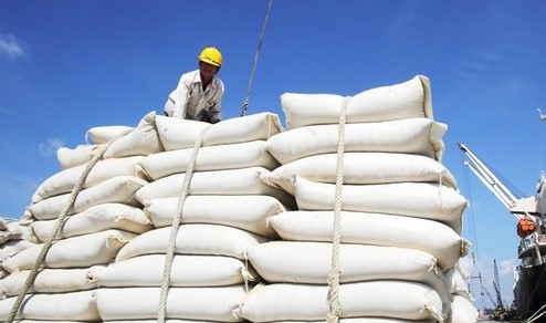 Dự án 600 tỷ đầu tư vào Phú Yên lập vùng sản xuất, chế biến và xuất khẩu gạo