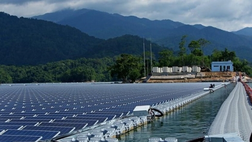 Bình Định tiếp tục xin chuyển gần 127ha đất rừng để làm 2 nhà máy điện mặt trời hơn 5.000 tỷ