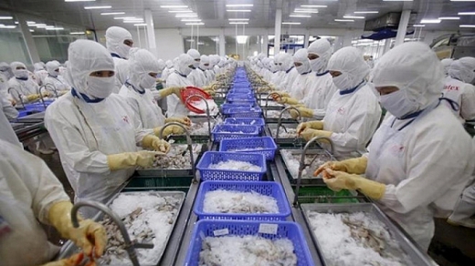 30 doanh nghiệp Việt xuất khẩu tôm sang Mỹ hưởng thuế 0%