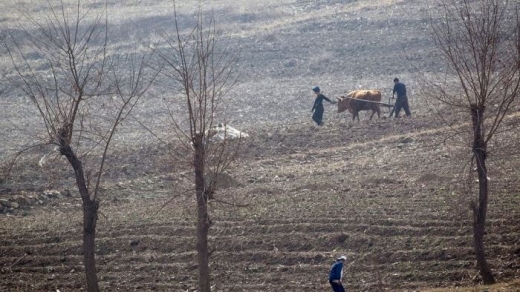 10 triệu người Triều Tiên đối mặt nạn đói giữa lúc căng thẳng hạt nhân chưa hạ nhiệt