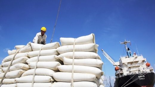 ‘Được mùa, được giá, Việt Nam đang có thời cơ vàng để xuất khẩu gạo’