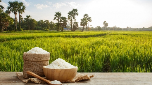 Bộ Công Thương yêu cầu xác minh việc DN gạo “bỏ thầu giá thấp”