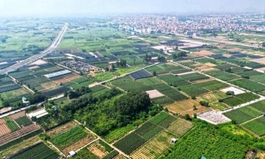 Hưng Yên: Đầu giá hàng trăm thửa đất gần Hà Nội, giá vài chục triệu/m2