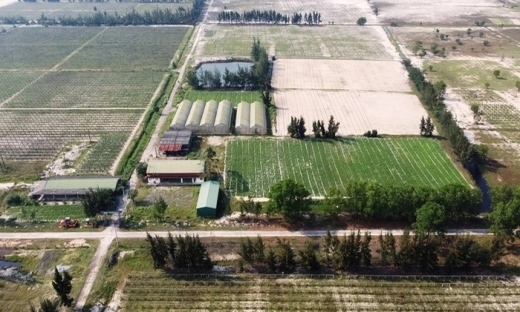 Đại dự án hoang tàn ở Hà Tĩnh: FLC có biến, bỏ mặc khu nông nghiệp công nghệ cao èo uột
