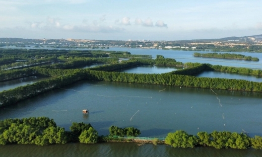 Bình Định: Đề xuất chấm dứt dự án khu vui chơi Đầm Thị Nại gần 800 tỷ