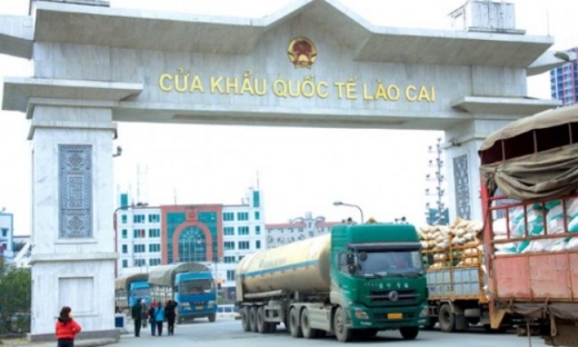 4,8 tấn tôm hùm tươi sống 'mở hàng' năm mới tại cửa khẩu Lào Cai