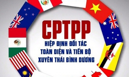 Sắp trình Quốc hội Luật sửa đổi một số luật để thực thi CPTPP