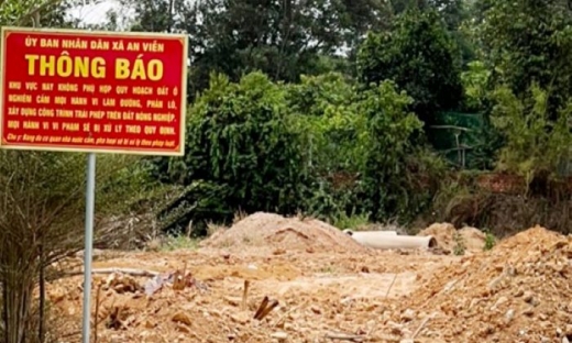Đồng Nai: Hơn 100 trường hợp vi phạm đất đai ở 'điểm nóng' của huyện Trảng Bom