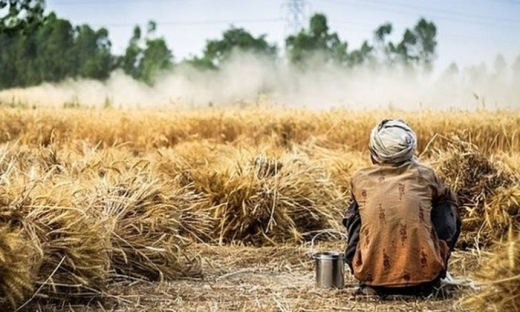 Khủng hoảng lương thực: Toàn cầu lo thiếu gạo, cà chua tăng giá 3,5 lần, hành củ đắt kỷ lục