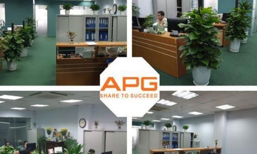 APG chuẩn bị phát hành 148 triệu cổ phiếu sau đợt tăng giá ấn tượng