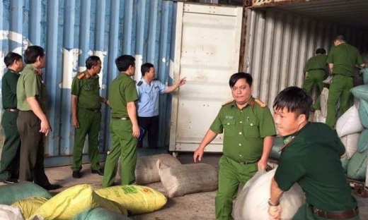 Bắt giữ 6 tấn vảy tê tê và 2 tấn ngà voi nhập lậu tại Cảng Đà Nẵng