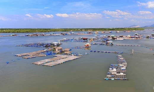 Bà Rịa - Vũng Tàu quy hoạch đảo Long Sơn thành trung tâm công nghiệp dầu khí quốc gia