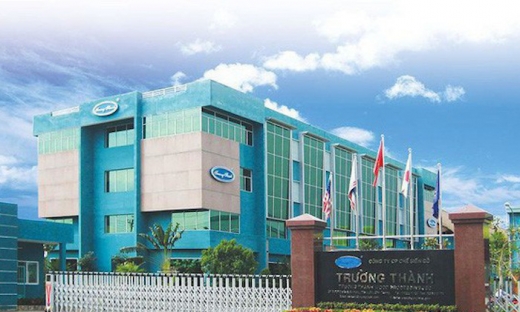 Chủ tịch Mai Hữu Tín chỉ mua một nửa lượng cổ phiếu TTF đã đăng ký