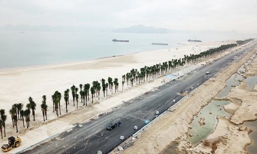 Chính thức khởi công đường bao biển Hạ Long - Cẩm Phả hơn 1.300 tỷ đồng