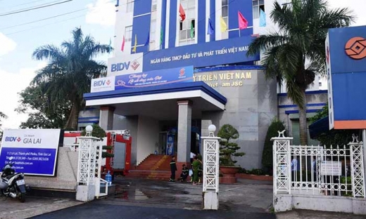 Bắt nguyên cán bộ Ngân hàng Phát triển Việt Nam chi nhánh tỉnh Gia Lai