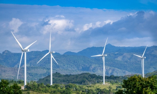 Quảng Trị duyệt phương án nộp tiền trồng rừng thay thế tại dự án nhà máy điện gió Hải Anh 1.565 tỷ đồng