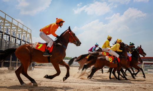 Hà Nội: Huyện Sóc Sơn muốn có chính sách để triển khai trường đua ngựa nghìn tỷ