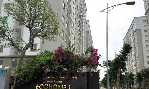 Ở nhà thu nhập thấp, đặt trăm tỷ mua cổ phần khách sạn Kim Liên?