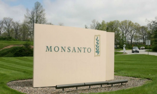 Vướng khủng hoảng môi trường, Monsanto vẫn 'làm ăn tốt' trên đất Việt