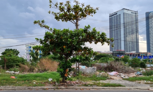 Đà Nẵng: Đấu giá 10.000m2 đất để xây trung tâm thương mại 2.000 tỷ đồng