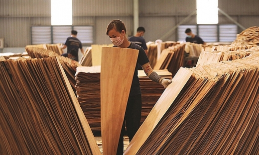 Mỹ lùi thời hạn kết luận lẩn tránh thuế chống bán phá giá gỗ dán từ Việt Nam