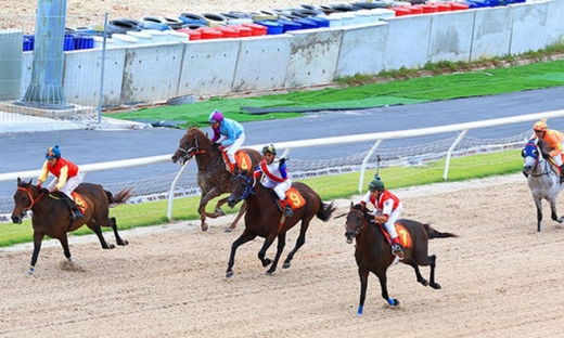 Lâm Đồng xử lý Công ty Đua ngựa Thiên Mã – Madagui vì xây 'chui' 16 công trình