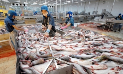 Trung Quốc vượt Mỹ trở thành nước dẫn đầu về nhập khẩu cá tra Việt Nam
