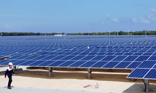 Bình Định thu hồi dự án điện mặt trời công suất 100MW của Tập đoàn Ấn Độ