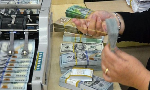 Phó Thống đốc: Ngân hàng Nhà nước đã mua ròng lượng lớn ngoại tệ