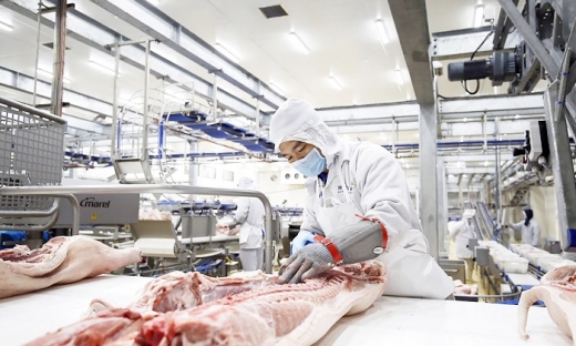 Tập đoàn AVG của Nga đầu tư khu chế biến thịt lợn 1,4 tỷ USD tại Thanh Hóa