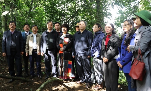 Hà Tĩnh: Chủ tịch Tập đoàn TH Thái Hương khảo sát đầu tư du lịch tại Vũ Quang