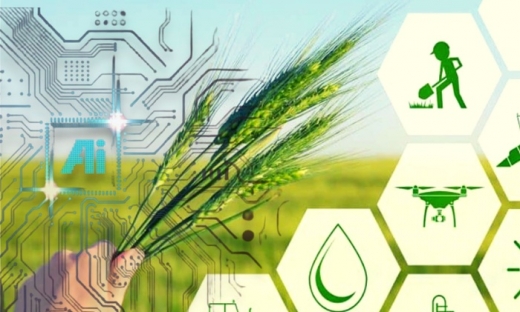 Ứng dụng AI: Tiêu chuẩn hóa và tự động toàn bộ chu trình nông nghiệp sạch