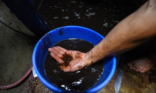 Kẻ thuê người đổ trộm dầu thải vào nguồn nước sông Đà khai được chủ doanh nghiệp thuê làm