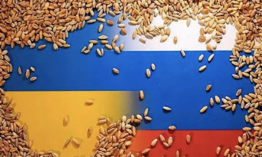 Nga bất ngờ tái tham gia thoả thuận ngũ cốc với Ukraine