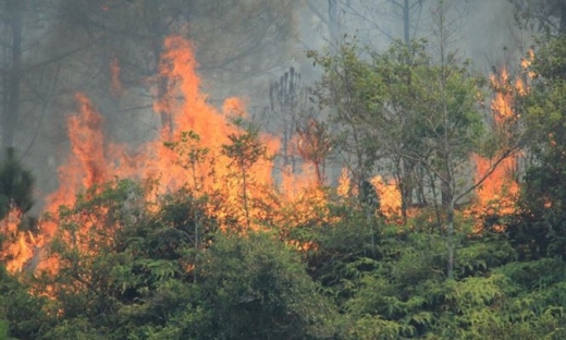 Cháy lớn tại rừng thông Hà Tĩnh: Gần 1.000 người tham gia cứu hỏa