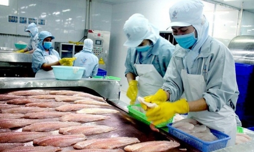 Cá tra Việt Nam 'rộng cửa' tại Trung Quốc, sản phẩm lên 'sàn' Alibaba