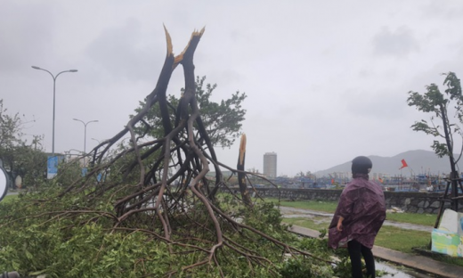Bão Noru càn quét các tỉnh miền Trung, gây thiệt hại lớn